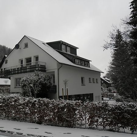 Ferienwohnung Haus Kloosterman Winterberg Kültér fotó