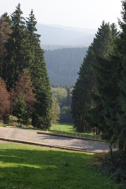 Ferienwohnung Haus Kloosterman Winterberg Kültér fotó