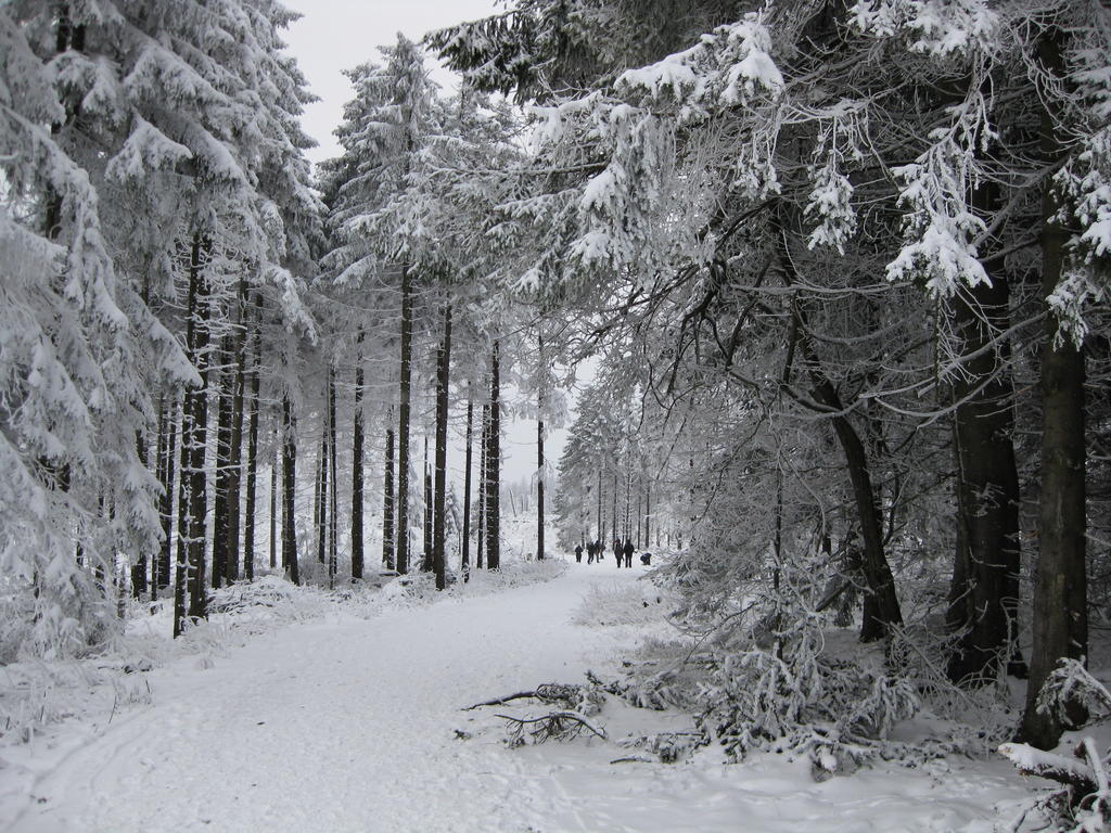 Ferienwohnung Haus Kloosterman Winterberg Kültér fotó