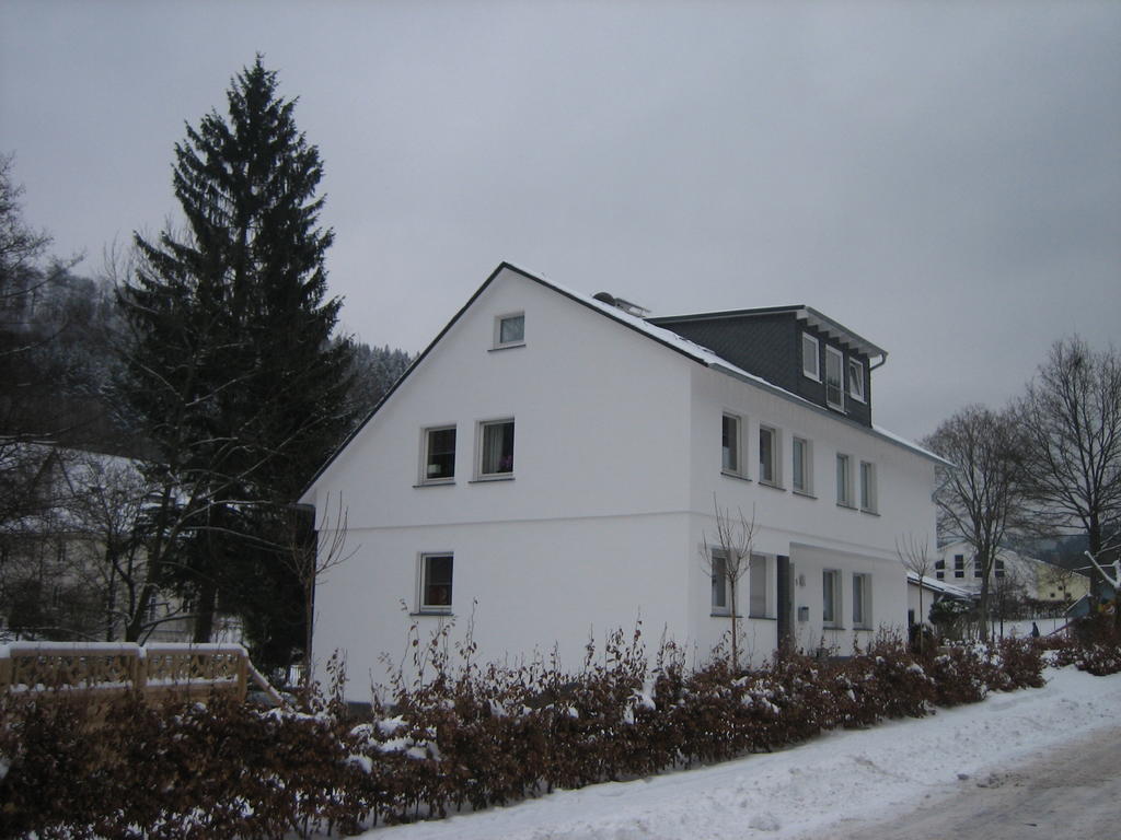 Ferienwohnung Haus Kloosterman Winterberg Kültér fotó